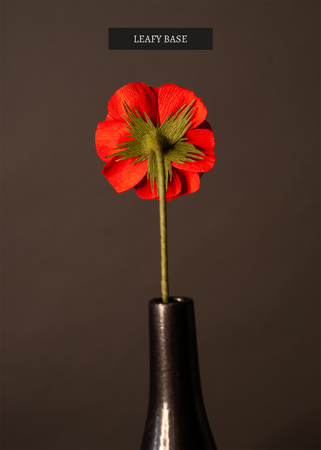 A single flower seen from the back with a base comprised of 5 ornate leaves arranged in a star shape pattern sitting atop a green stem.