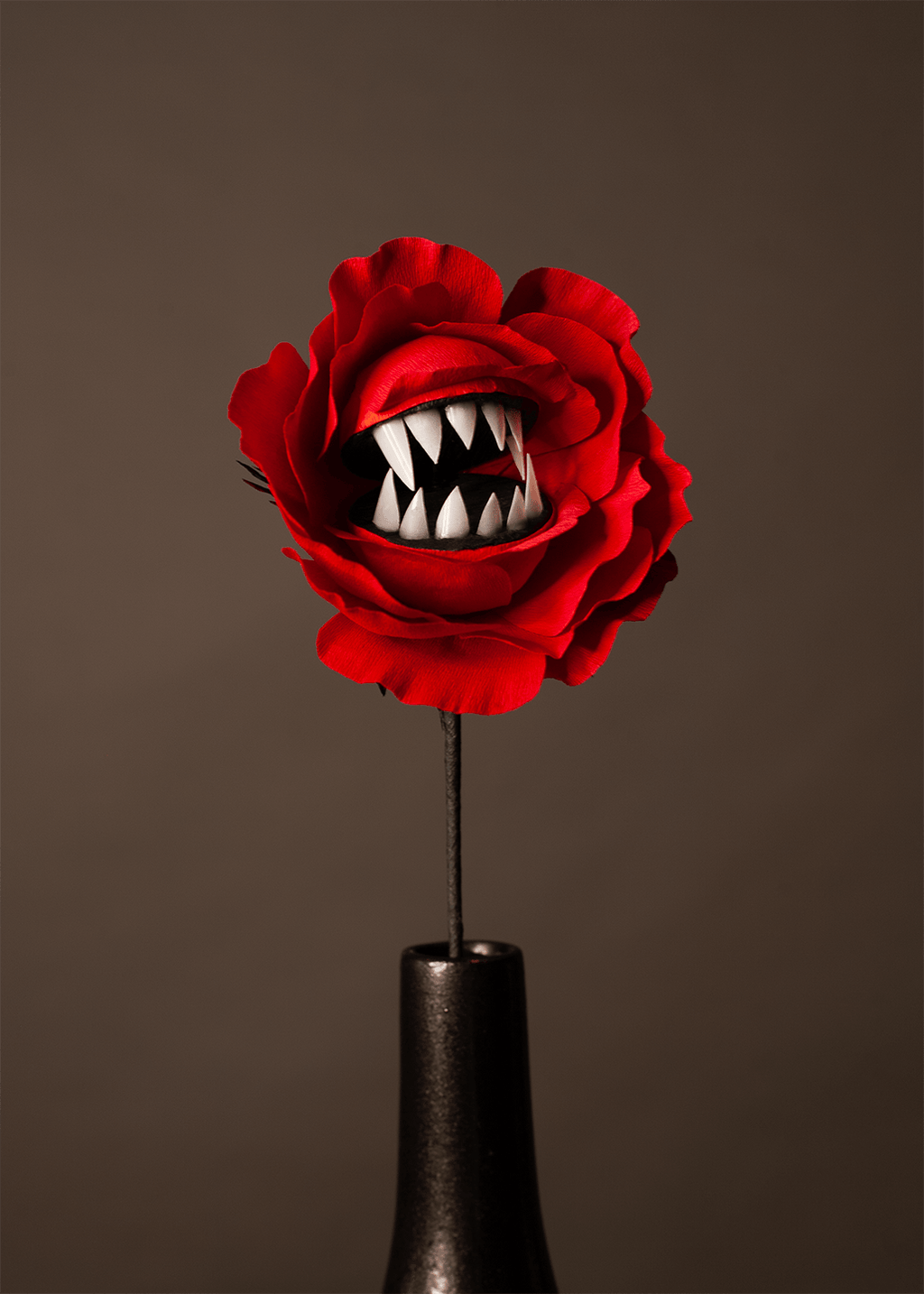 A red rose flower with a mouth made of sharp white teeth, inserted into a dark vase against a solid dark brown background.