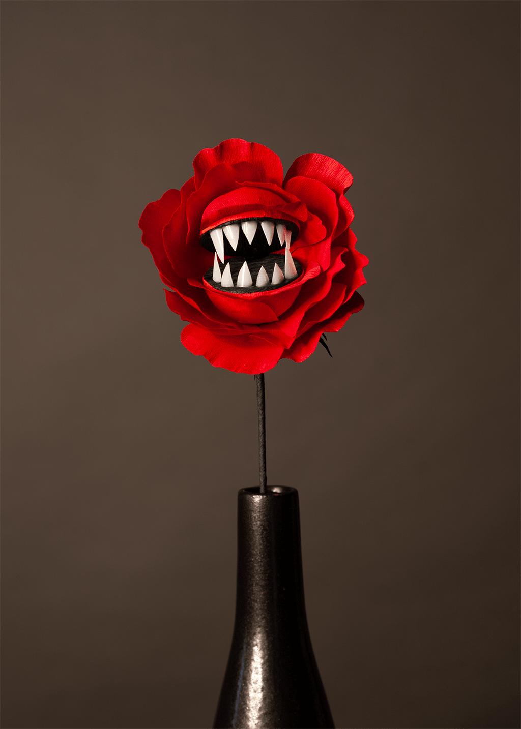 A red rose flower with a mouth made of sharp white teeth, inserted into a dark vase against a solid dark brown background.