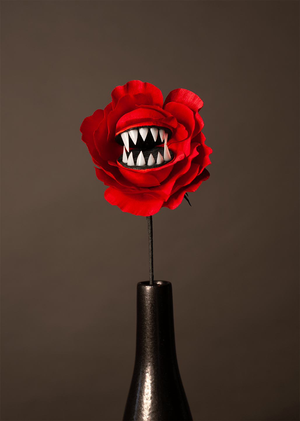 A red rose flower with a mouth made of sharp white teeth, inserted into a dark vase against a solid dark brown background.