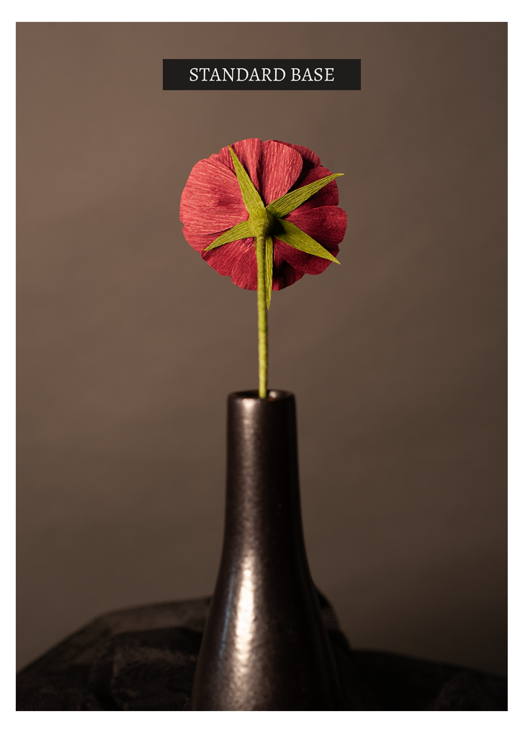 A single flower seen from the back with a base comprised of 5 slender triangular leaves arranged in a star shape pattern sitting atop a green stem.
