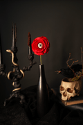 A gothic-style still life featuring a single red paper flower with a realistic eye in the center, set in a dark matte vase. The scene is styled with a black candelabra on the left and a skull-shaped planter with a black bird on the right, all against a dark gray background.